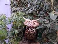 Leur ami le hibou.